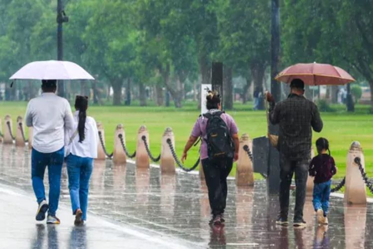 Light rain with thunderstorms likely in Delhi: IMD