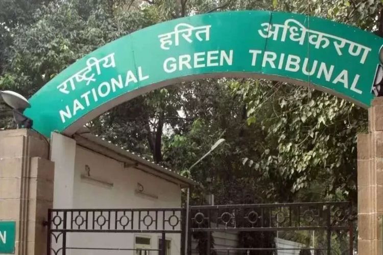 Green Tribunal Refuses to Lift Ban on Deployment of 1,600 Forest Personnel for Assam Elections