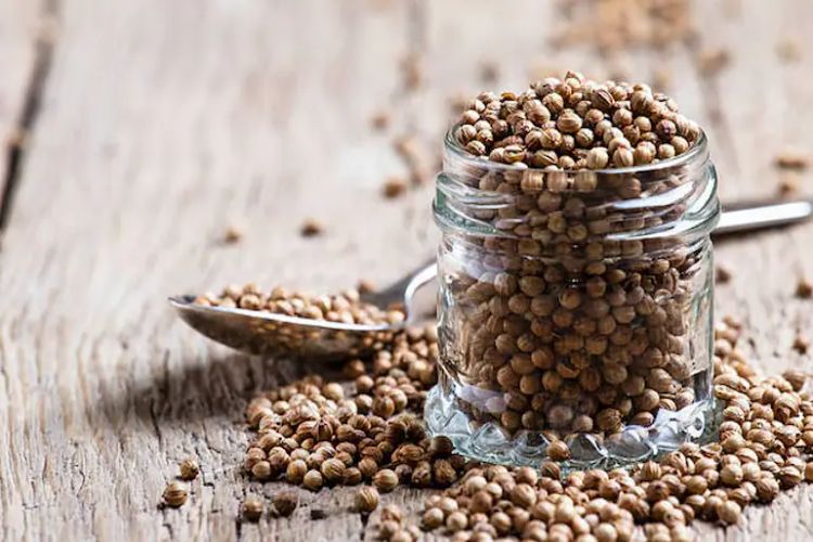 Coriander futures fall on weak demand