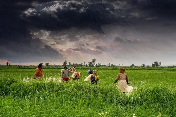 Dual risks of monsoon deficit and rising input costs threaten India's rural economy in 2026: Report