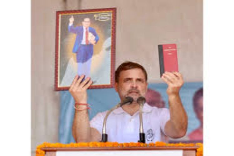 Some forces are systematically weakening Ambedkar's legacy and the Constitution: Rahul