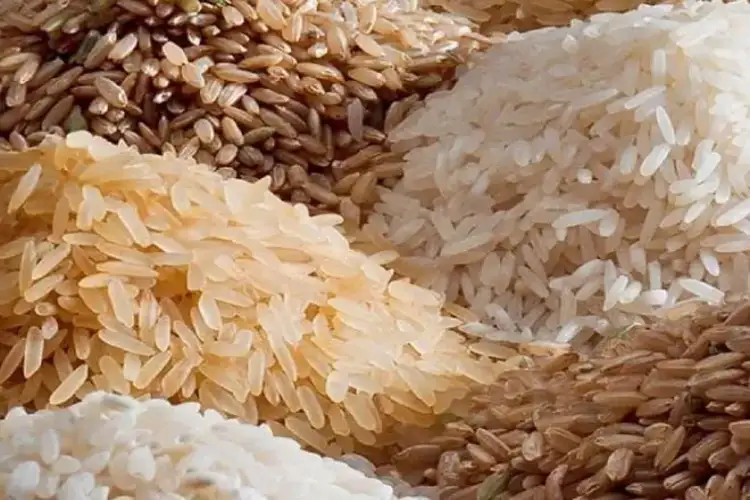 Telangana urges Centre to procure 30 LMT parboiled rice for 2025-26 crop season