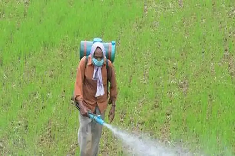 Below-normal monsoon and West Asia conflict cloud India's agriculture outlook: BoB