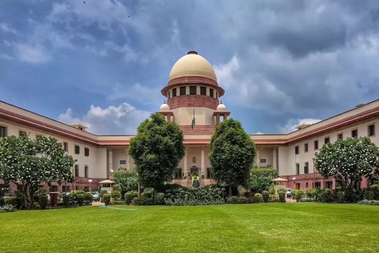 A candidate does not become eligible for a government job solely on the basis of possessing a higher academic degree: Court