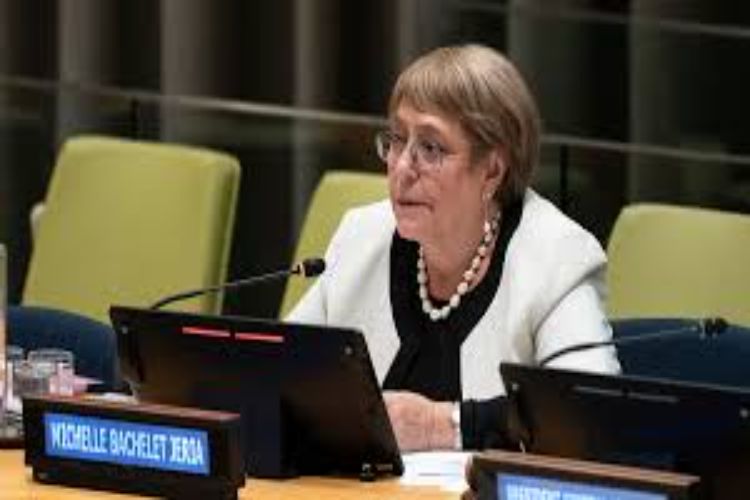 Security Council genuinely needs reform, will strive for it: UNSG candidate Bachelet