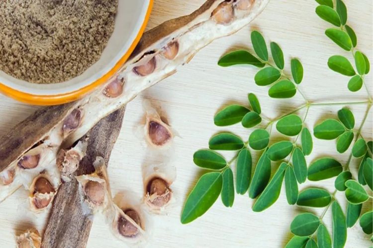 Moringa seeds can purify water and are effective in removing microplastics.