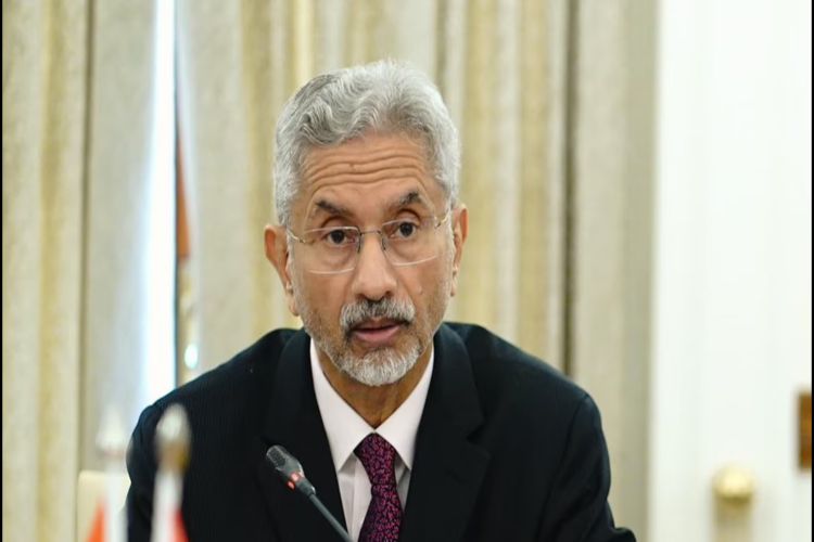 India-Africa partnership will send a message of stability in a troubled world: Jaishankar