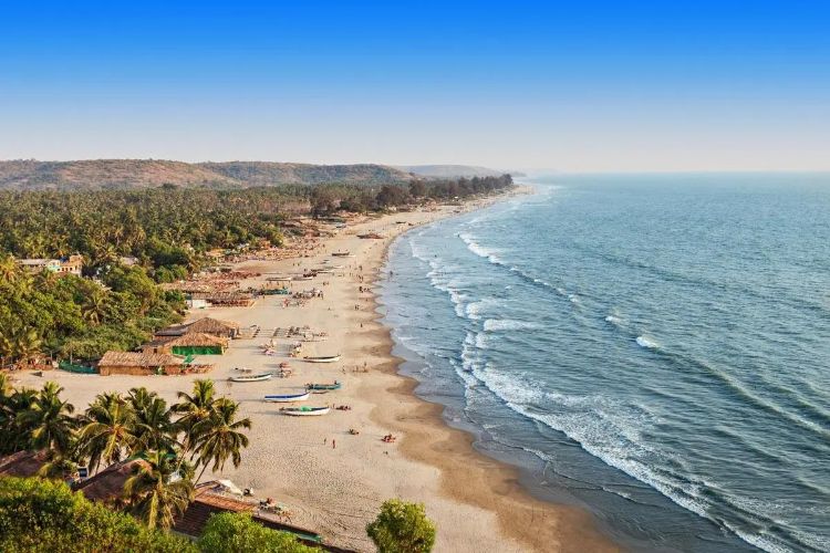 The Goa government will reclassify one crore square meters of environmentally sensitive land.