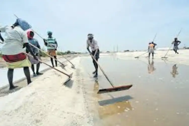 Tamil Nadu: Salt pan workers begin shift at 1 AM to escape severe heat in Thoothukudi