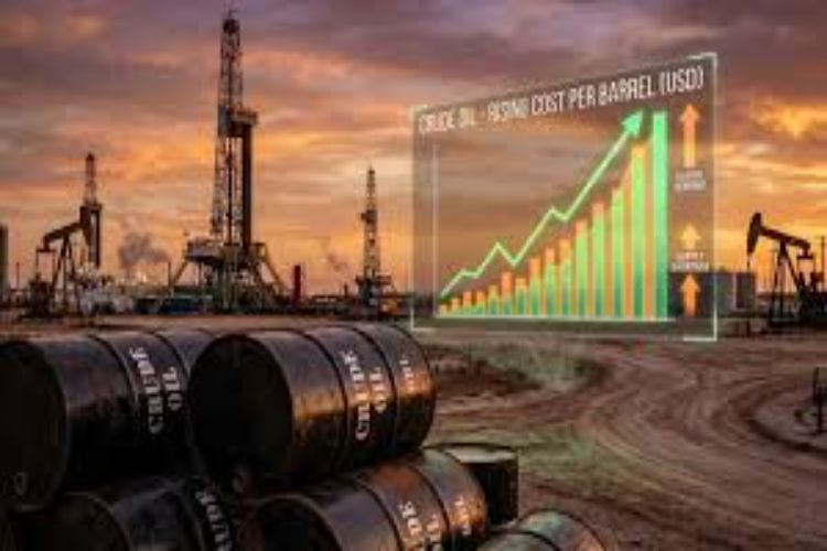 Rising crude oil prices may push India's growth rate down to 6%: EY