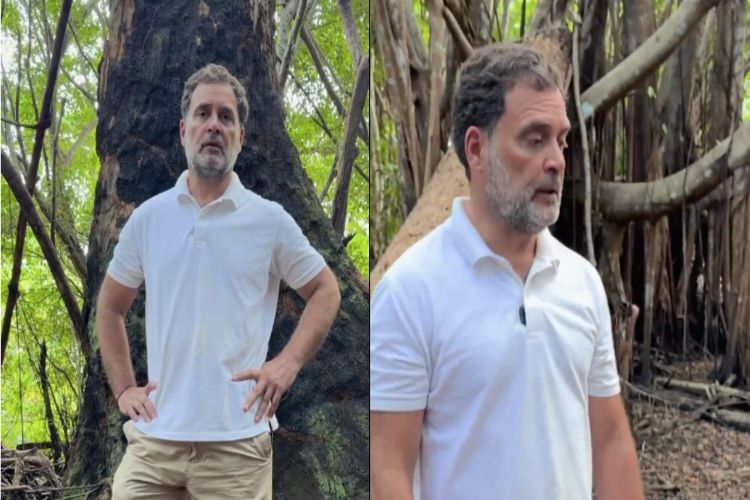 Great Nicobar Project biggest scam, crime against tribal heritage: Rahul