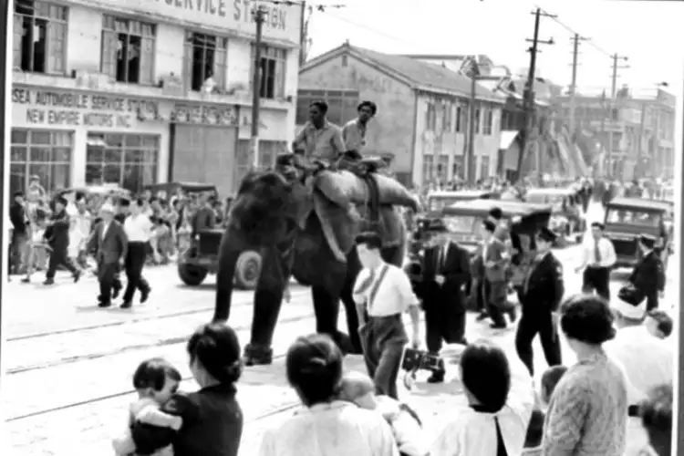 Indian children's 'jumbo' gift that brought joy to Japan post World War 2