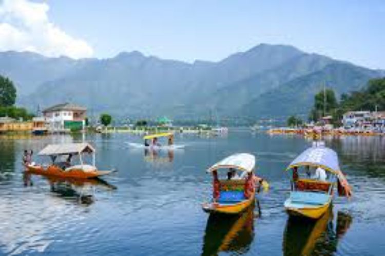 Jammu and Kashmir: Over 500 people arrested in anti-drug drive