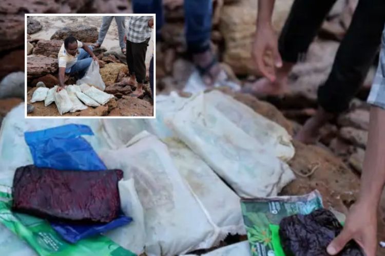 Charas worth crores of rupees recovered in Kutch and Devbhoomi Dwarka
