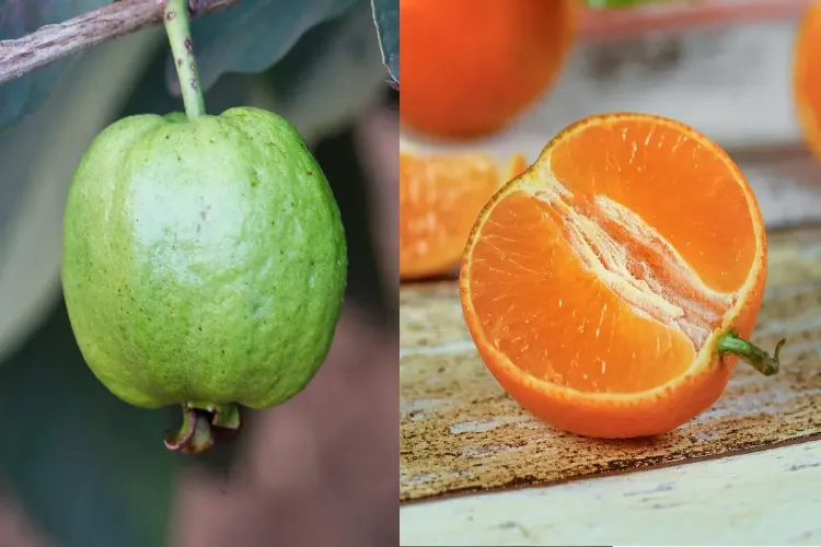 Guava or Orange: Which Fruit Has More Vitamin C?