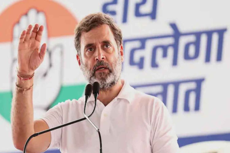 BJP's response to unemployed youth has been lathi charge: Rahul Gandhi