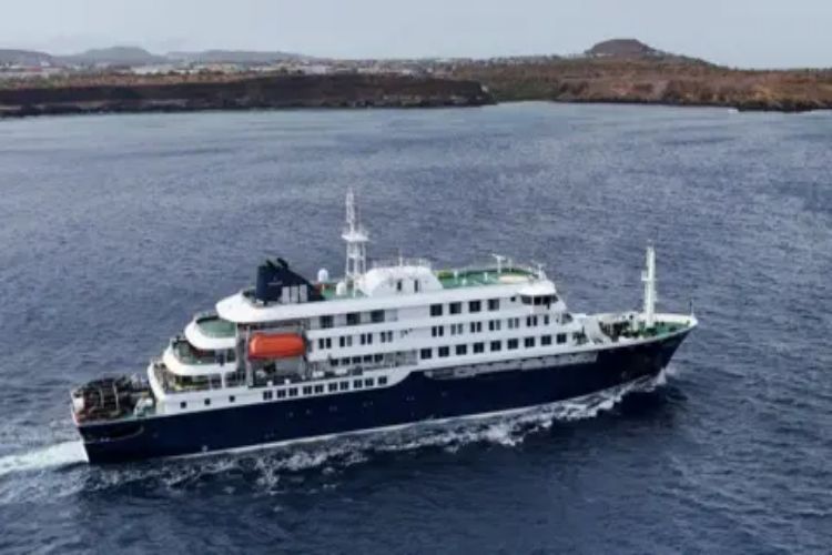 Why is there a higher risk of disease transmission on cruise ships?