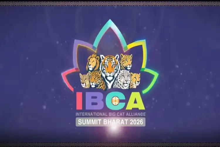 Saudi Arabia set to join India-led International Big Cat Alliance as 26th member
