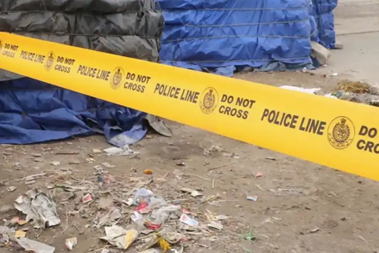 Delhi Police registers two FIRs after guard beats stray dog to death in Kirti Nagar, animal activist assaults guard