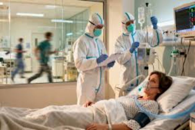 Hantavirus infected French woman in critical condition