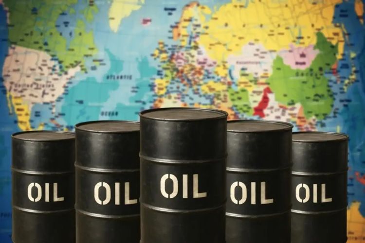 Crude oil prices rose by Rs 117 to Rs 9,841 per barrel in the futures market.