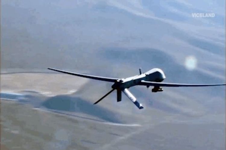 Drones are now the 'hawk's claws' of the skies: IAF chief
