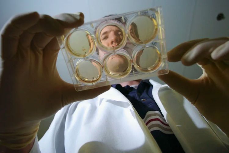 May 16: American scientists successfully extract stem cells from cloned human embryos.