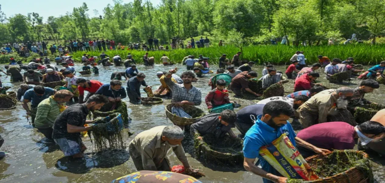Kashmir's Panjath Fish Festival Becomes a Model for Environmental Conservation