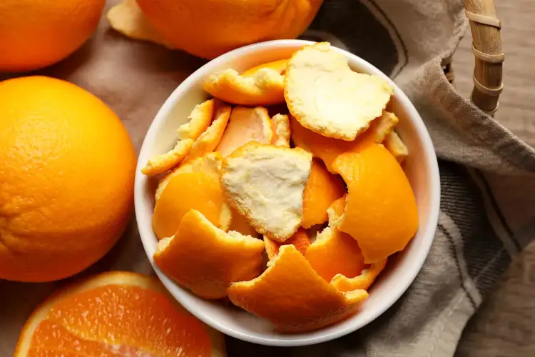 From waste to wealth: Nagpur youth turn orange peels into sustainable innovation