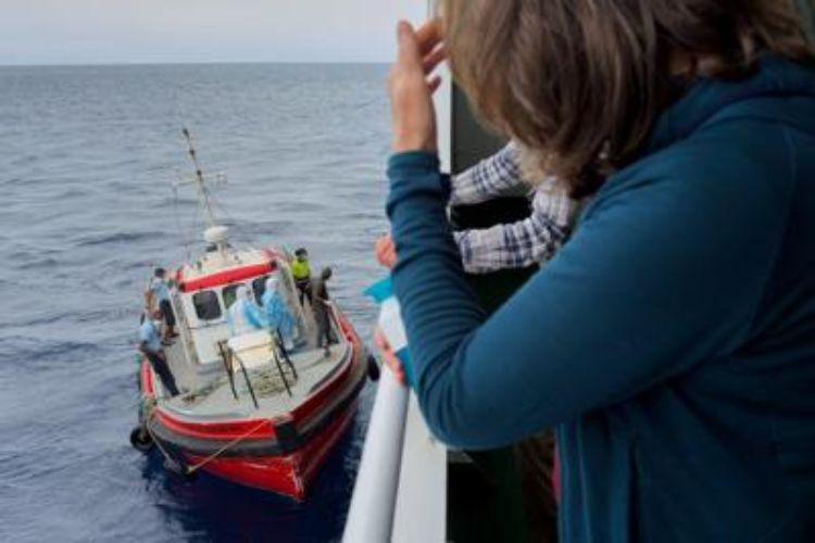 From plague to hantavirus: the impact of marine infections