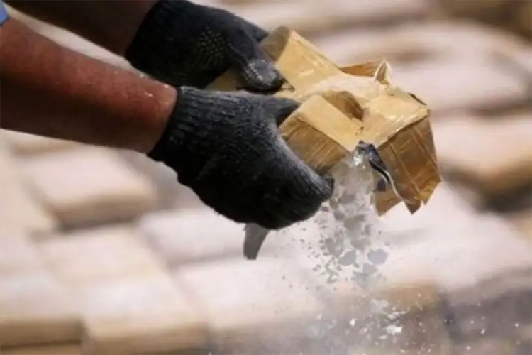 MP: CBN seizes 455 grams of opium hidden as candy in parcel bound for Canada at post office in Mandsaur