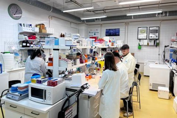 Mixed response to one-day nationwide strike by chemists