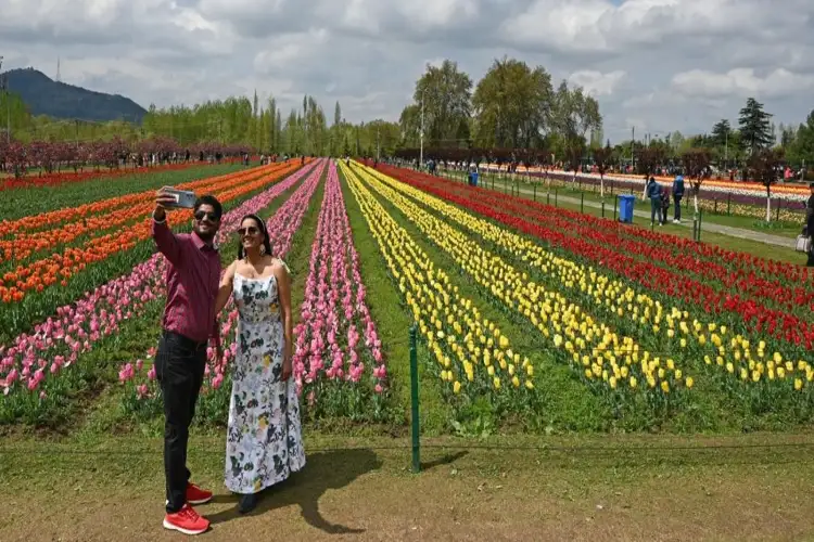 J-K: Heatwave wilts Jakhani Park's blooms; Floriculture Dept fights to save tourist hotspot