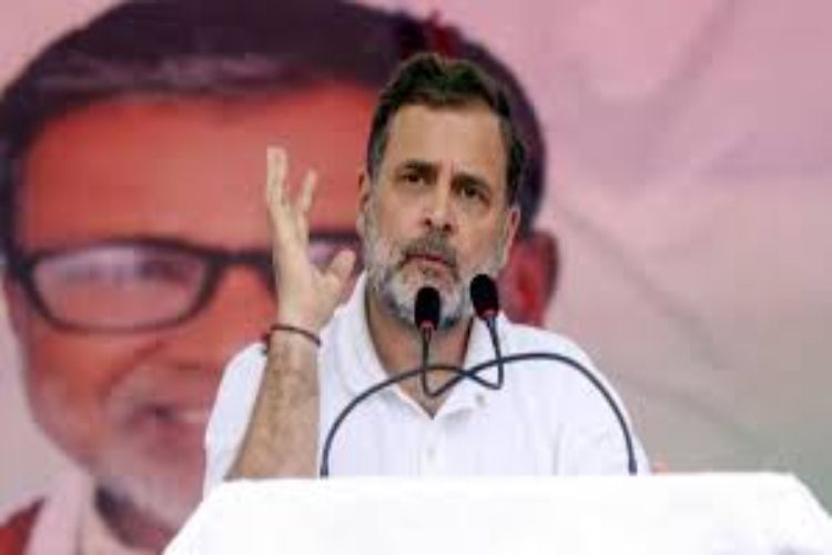 it is the responsibility of the people to protect it: Rahul Gandhi
