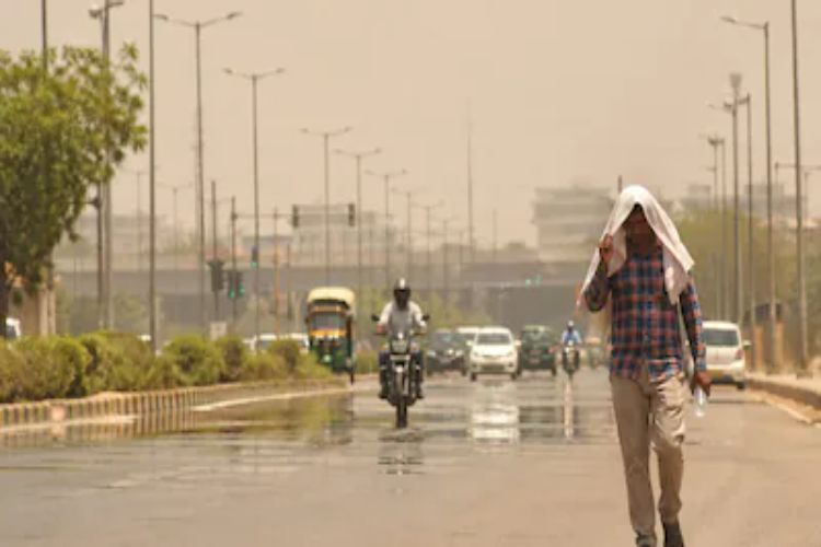 Severe heat wave expected to continue in Rajasthan