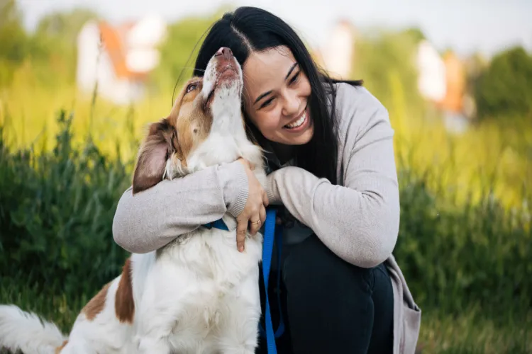 Human Life vs. Love for Animals: When Will a Solution Emerge?