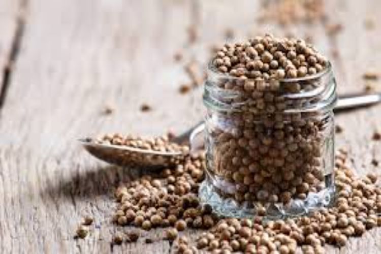 Coriander futures fall on weak spot demand