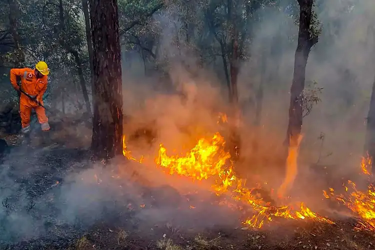 Uttarakhand: Forest fire near Basugaon doused off in joint operation by SDRF, NDRF, Forest dept and Fire service