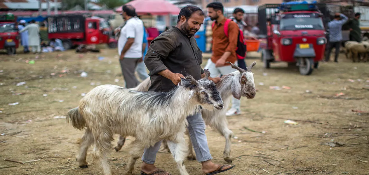 Bakri Eid 2026: Sacrifice Permissions Now Available Online in Mumbai