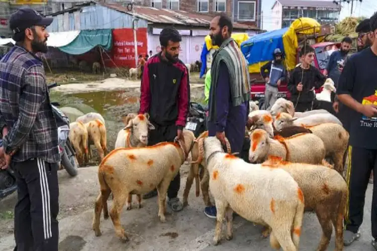 Delhi Govt issues strict guidelines against illegal animal sacrifice ahead of Bakri Eid