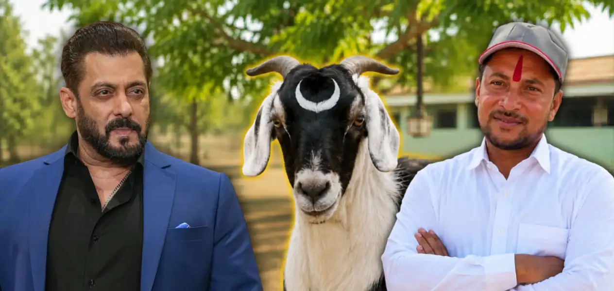 ‘Moon Bakra’ Creates a Buzz from Mumbai to Hyderabad; Farmer Says— “Salman Bhai Should Buy Him”
