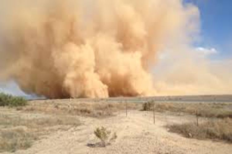 Dust storms and strong winds are expected at many places in Rajasthan.