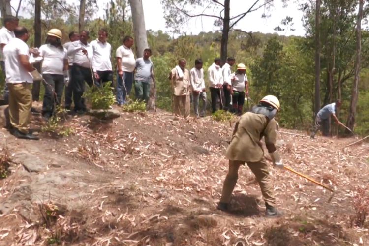 Forest Fire Control and Prevention Workshop Held in Udhampur, Jammu and Kashmir