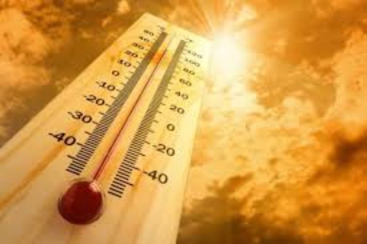 The heat wave in Rajasthan is expected to intensify further.