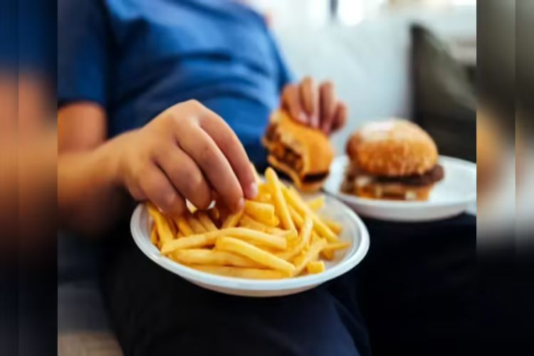 Childhood junk food can have lifelong effects on the brain
