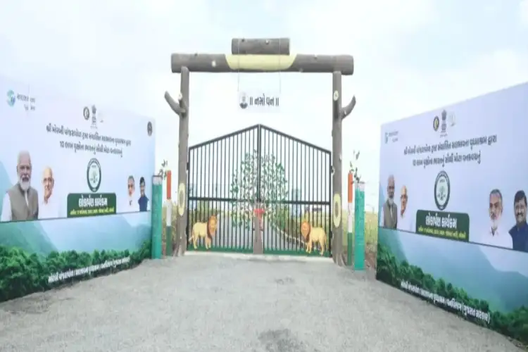 Million trees transform Gujarat's ceramic town Morbi into green oasis