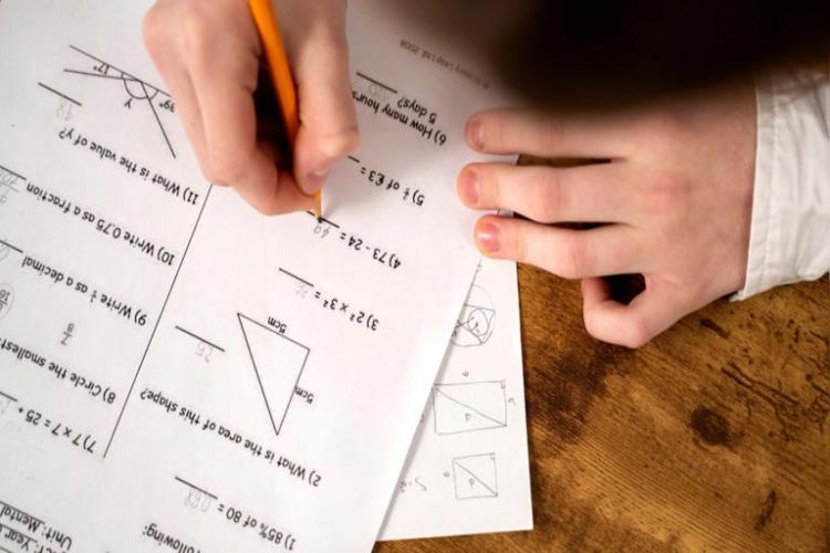IIT Madras to analyse problems with CBSE portal