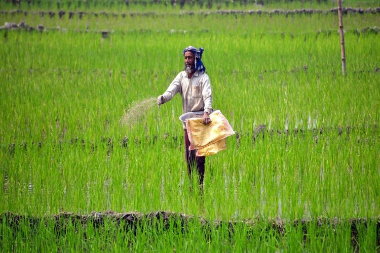 the country for the upcoming Kharif season: Government