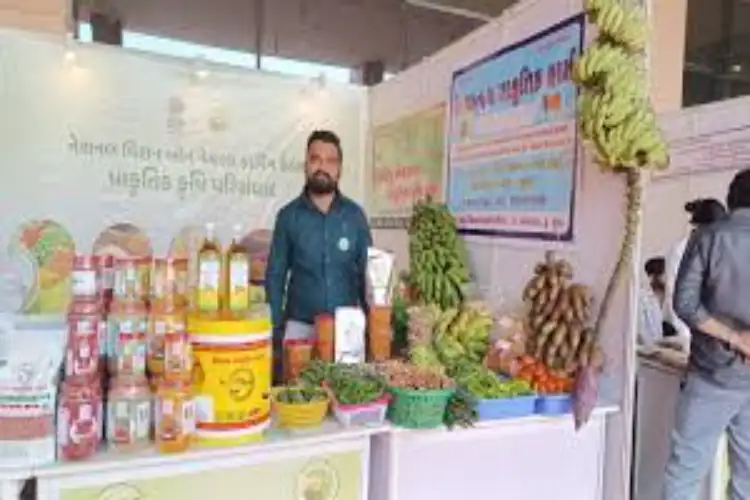 Gujarat: Young Farmer gives up chemical fertilisers after father's cancer death, emerges as role model