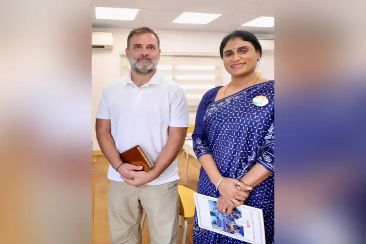 APCC chief YS Sharmila meets Rahul Gandhi, discusses strengthening Congress in Andhra Pradesh